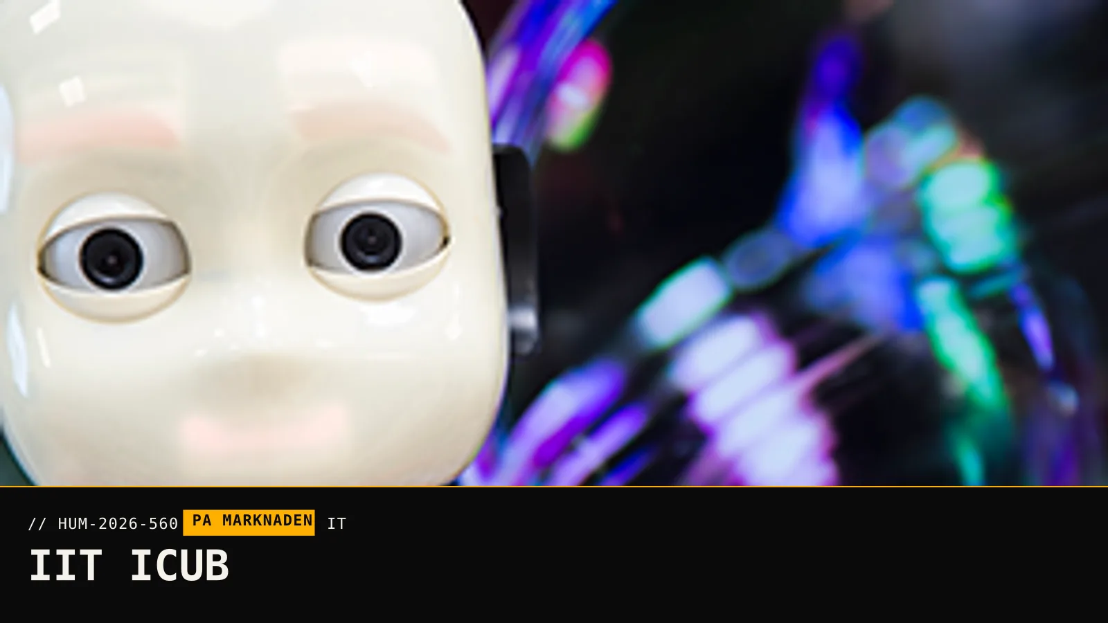 IIT iCub, officiell bild