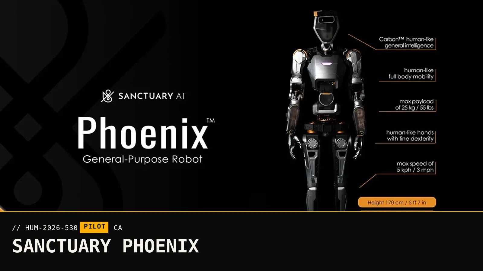 Sanctuary Phoenix