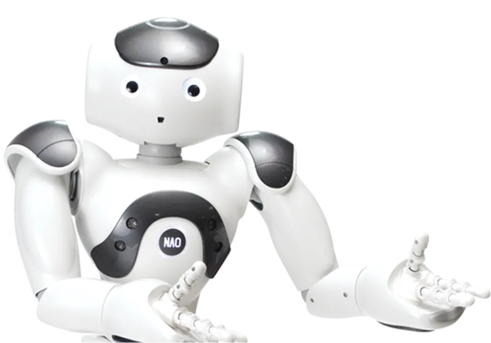 NAO robot in action