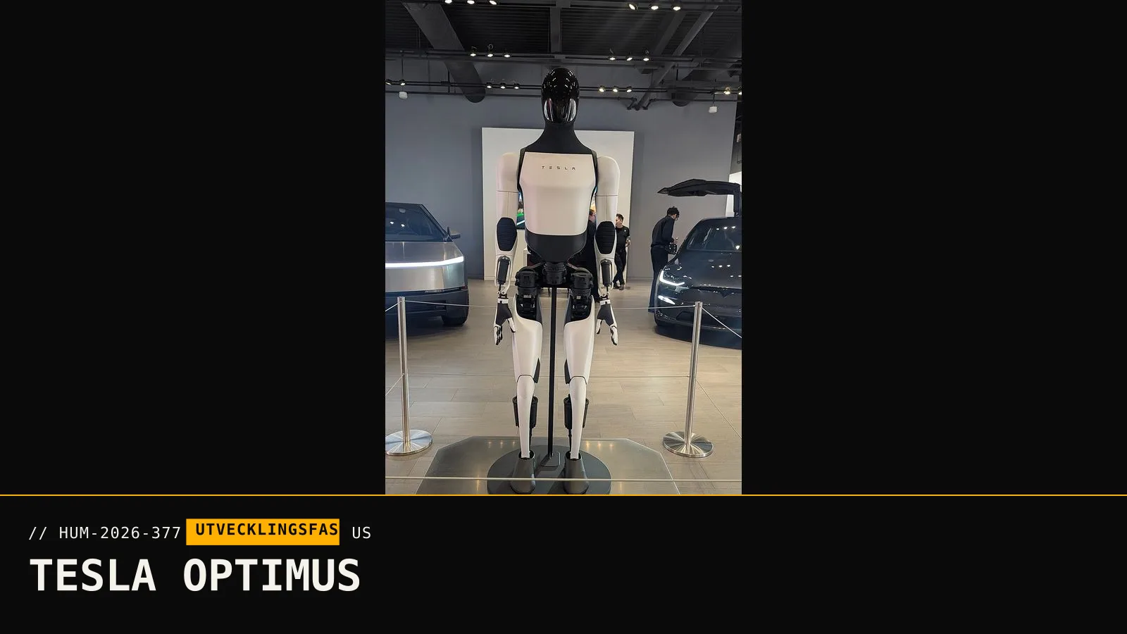 Tesla Optimus